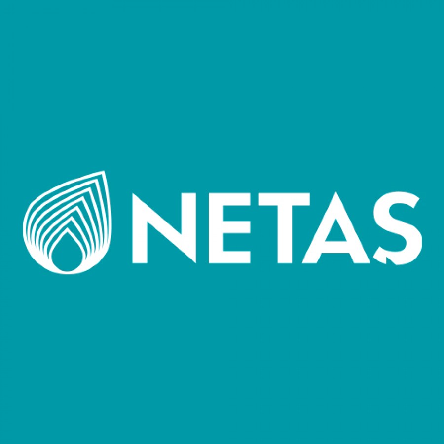 Netaş